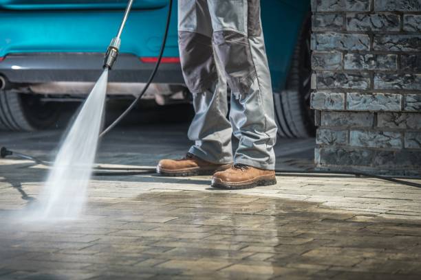 Best Gutter Cleaning  in Eleanor, WV