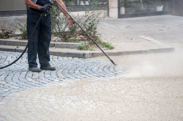 Best Pre-Holiday Cleaning  in Eleanor, WV